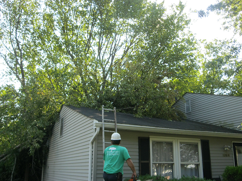 Storm Damage