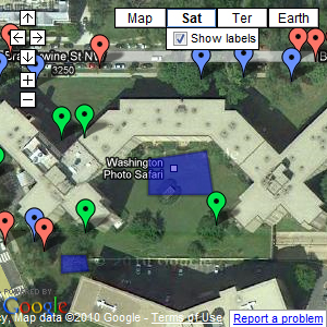 Tree Inventory & Mapping